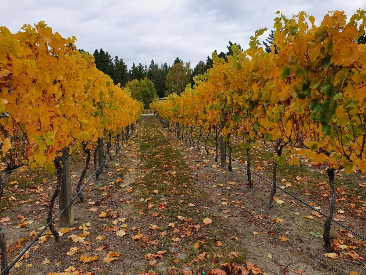 Bed and Breakfast Vines On Bannockburn Cromwell Exterior foto